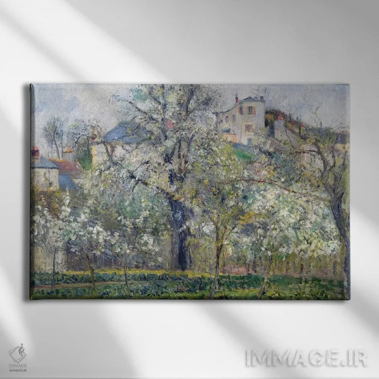 تابلو باغ سبزیجات با درختان شکوفهدار، بهار، پونتواز، ۱۸۷۷ اثر کامی یِل پیسارو (نقاش فرانسوی امپرسیونیست) - نمای روبهرو روی دیوار