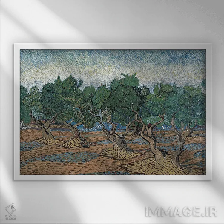 تابلو 1889,باغ زیتون، ۱۸۸۹ اثر ونسان ون گوگ (نقاش مشهور هلندی پستامپرسیونیسم) - نمای قابدار سفید