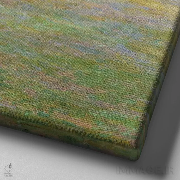 تابلو 1888,چمنزارهای ژیورنی، ۱۸۸۸ اثر کلود مونه (نقاش معروف فرانسوی) - نمای نزدیک بافت بوم