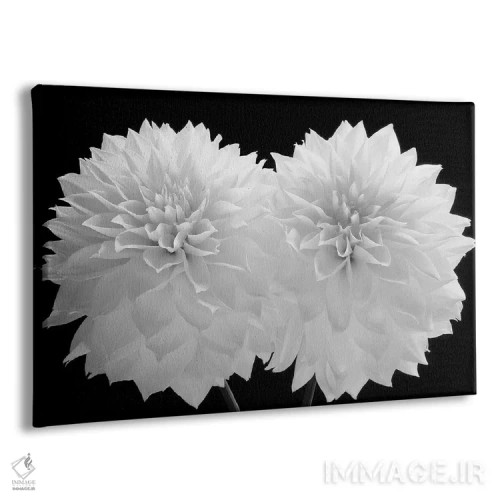 تابلو 2008,دالیا دراماتیکوس، ۲۰۰۸ اثر هیرویوشی آراکاوا - نمای پرسپکتیو محصول