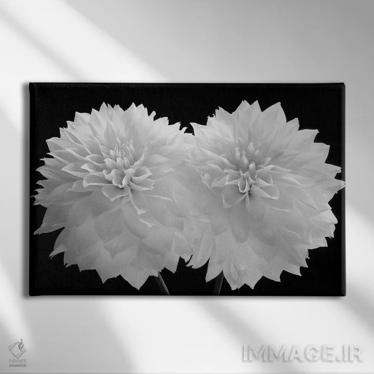 تابلو 2008,دالیا دراماتیکوس، ۲۰۰۸ اثر هیرویوشی آراکاوا - نمای روبهرو روی دیوار