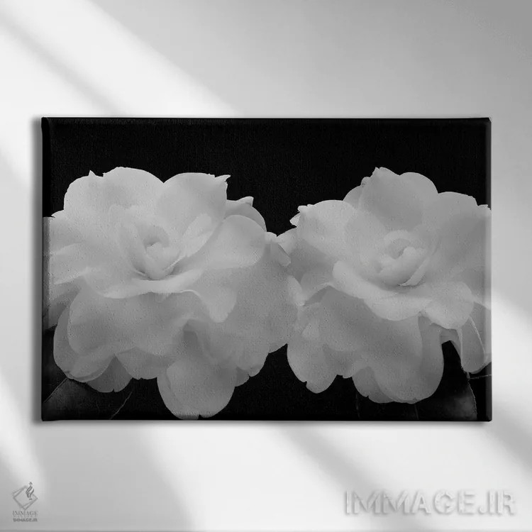 تابلو 2007,ملکههای اغواگرِ معطر، ۲۰۰۷ اثر هیرویوشی آراکاوا - نمای روبهرو روی دیوار