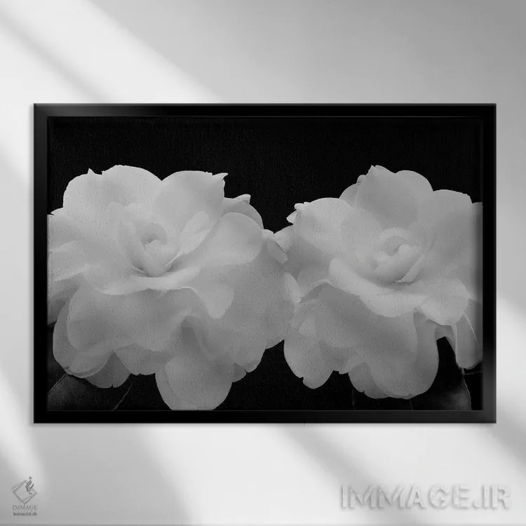 تابلو 2007,ملکههای اغواگرِ معطر، ۲۰۰۷ اثر هیرویوشی آراکاوا - نمای قابدار مشکی