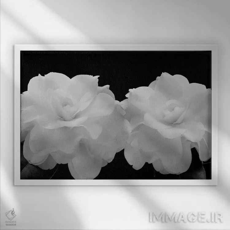 تابلو 2007,ملکههای اغواگرِ معطر، ۲۰۰۷ اثر هیرویوشی آراکاوا - نمای قابدار سفید
