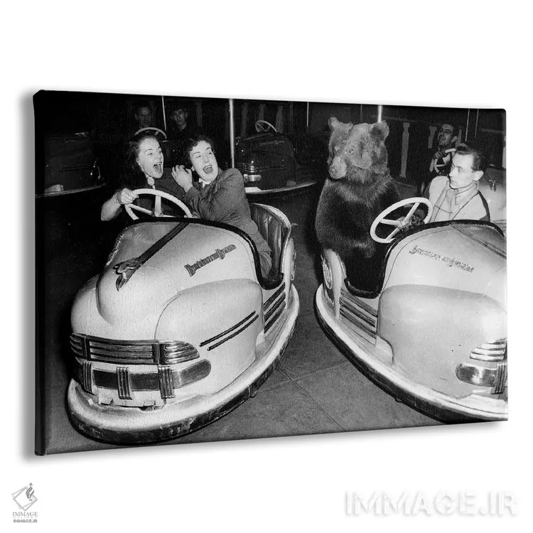 تابلو 1954,خرس قهوهای سیرک برترام میلز در ماشینبرقی، ۱۵ دسامبر ۱۹۵۴ اثر رو دز آرشیو (آرشیو خیابان) - نمای پرسپکتیو محصول