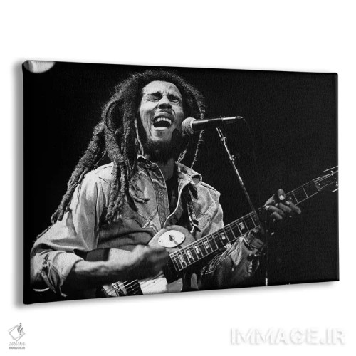 تابلو باب مارلی اثر رو دز آرشیو (آرشیو خیابان) - نمای پرسپکتیو محصول