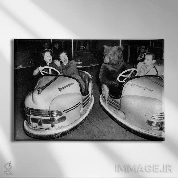 تابلو 1954,خرس قهوهای سیرک برترام میلز در ماشینبرقی، ۱۵ دسامبر ۱۹۵۴ اثر رو دز آرشیو (آرشیو خیابان) - نمای روبهرو روی دیوار