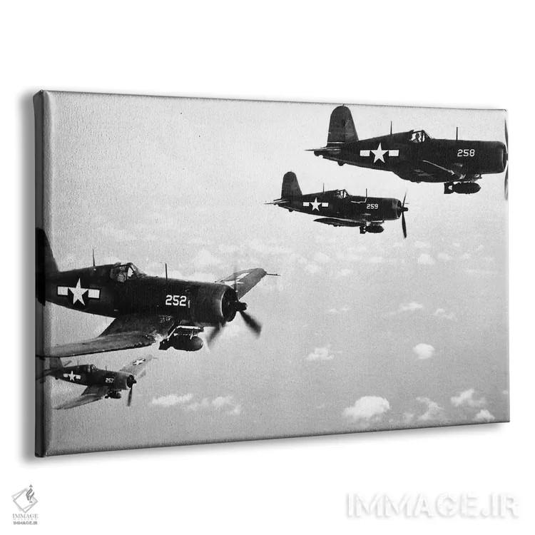 تابلو Used From 1942-53 By The US Navy And Marine Corps,هواپیماهای F4U کُرسر مورد استفاده نیروی دریایی و تفنگداران دریایی آمریکا، ۱۹۴۲-۵۳ اثر رو دز آرشیو (آرشیو خیابان) - نمای پرسپکتیو محصول