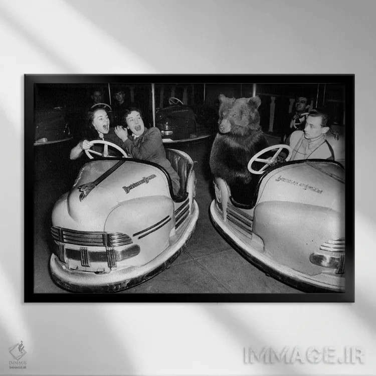 تابلو 1954,خرس قهوهای سیرک برترام میلز در ماشینبرقی، ۱۵ دسامبر ۱۹۵۴ اثر رو دز آرشیو (آرشیو خیابان) - نمای قابدار مشکی