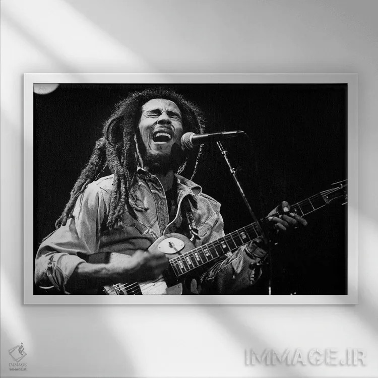 تابلو باب مارلی اثر رو دز آرشیو (آرشیو خیابان) - نمای قابدار سفید