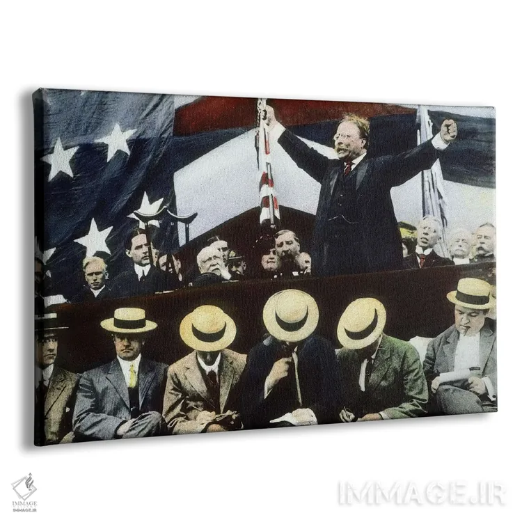 تابلو Summer, 1912,تئودور روزولت در حال کمپین برای ریاست جمهوری از حزب بول موس، تابستان ۱۹۱۲ اثر رو دز آرشیو (آرشیو خیابان) - نمای پرسپکتیو محصول