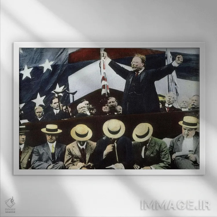 تابلو Summer, 1912,تئودور روزولت در حال کمپین برای ریاست جمهوری از حزب بول موس، تابستان ۱۹۱۲ اثر رو دز آرشیو (آرشیو خیابان) - نمای قابدار سفید