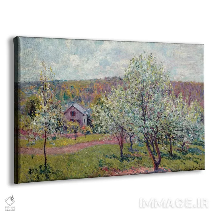 تابلو Apple Blossom, 1879,بهار در اطراف پاریس، شکوفه سیب، ۱۸۷۹ اثر آلفرد سیسلی (نقاش امپرسیونیست انگلیسی-فرانسوی) - نمای پرسپکتیو محصول