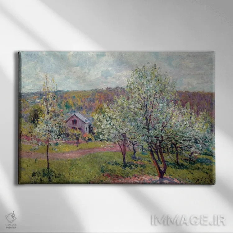 تابلو Apple Blossom, 1879,بهار در اطراف پاریس، شکوفه سیب، ۱۸۷۹ اثر آلفرد سیسلی (نقاش امپرسیونیست انگلیسی-فرانسوی) - نمای روبهرو روی دیوار