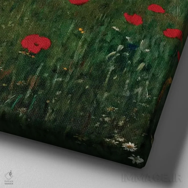 تابلو دشت شقایق اثر پال سینیـئی مرسه - نمای نزدیک بافت بوم