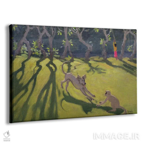 تابلو Sri Lanka,سگ و میمون، سریلانکا اثر اندرو ماکارا - نمای پرسپکتیو محصول