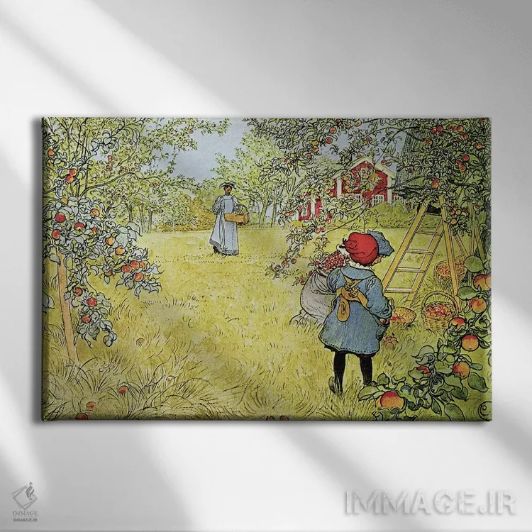 تابلو برداشت سیب اثر کارل لارسون (نقاش و تصویرگر سوئدی) - نمای روبهرو روی دیوار