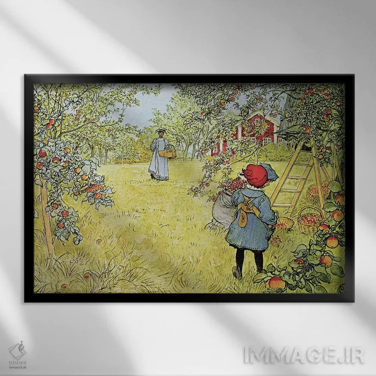 تابلو برداشت سیب اثر کارل لارسون (نقاش و تصویرگر سوئدی) - نمای قابدار مشکی
