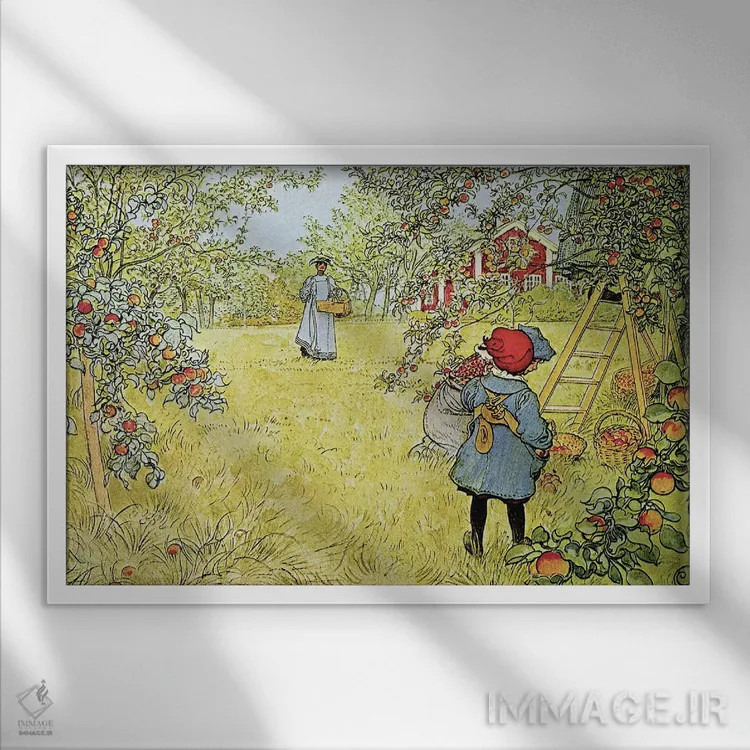 تابلو برداشت سیب اثر کارل لارسون (نقاش و تصویرگر سوئدی) - نمای قابدار سفید