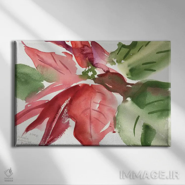 تابلو 2003,پوینستیا، ۲۰۰۳ (گل کریسمس) اثر کلودیا هاچینس-پوشاوی - نمای روبهرو روی دیوار