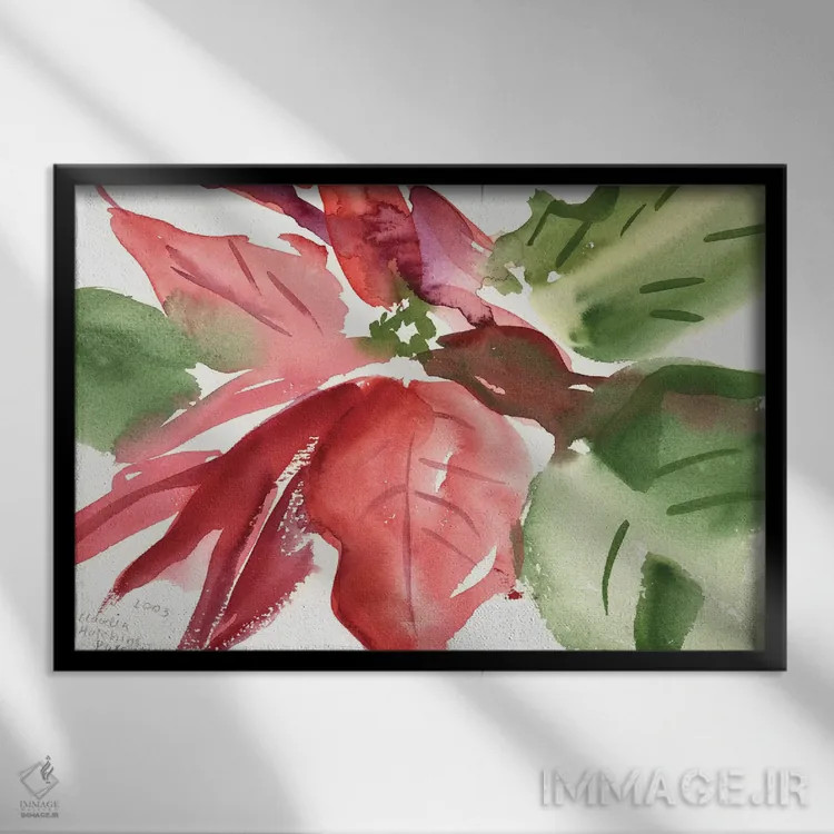 تابلو 2003,پوینستیا، ۲۰۰۳ (گل کریسمس) اثر کلودیا هاچینس-پوشاوی - نمای قابدار مشکی