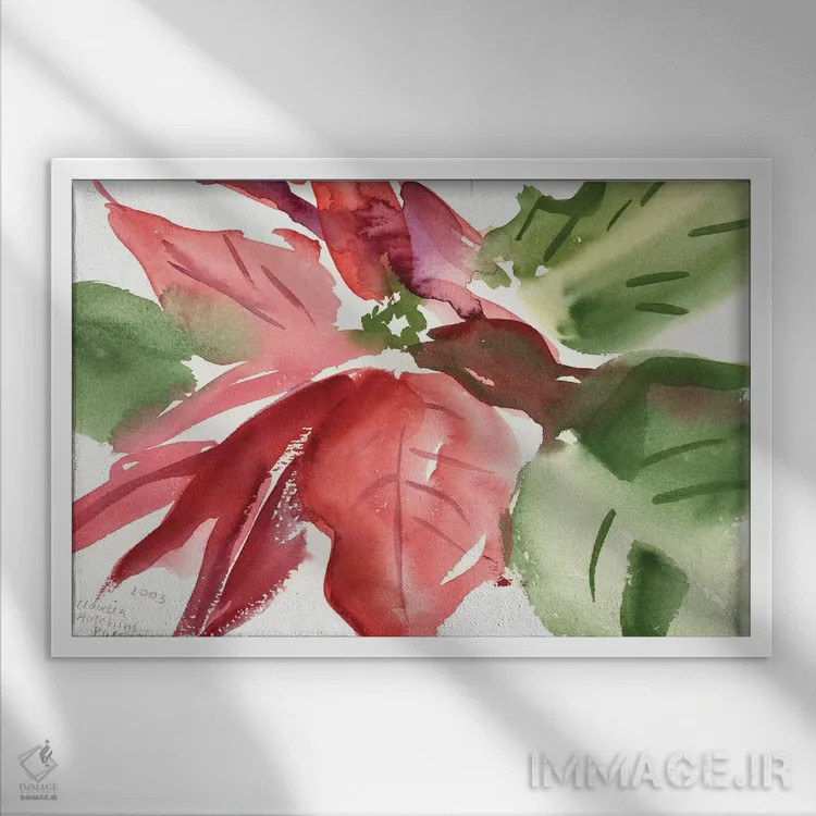 تابلو 2003,پوینستیا، ۲۰۰۳ (گل کریسمس) اثر کلودیا هاچینس-پوشاوی - نمای قابدار سفید