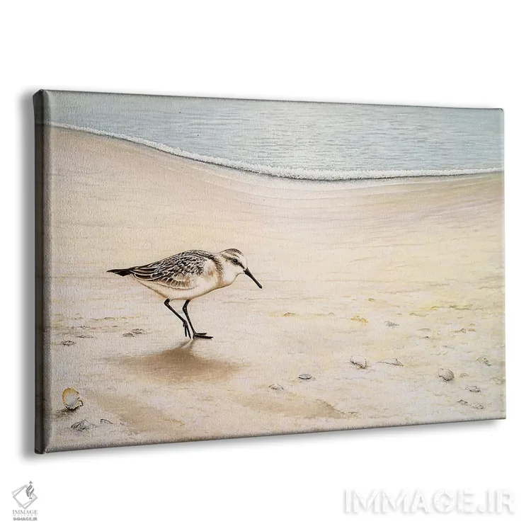 تابلو قدمزنی صبحگاهی اثر بروس ناوراکه - نمای پرسپکتیو محصول