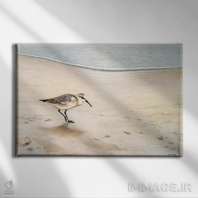 تابلو قدمزنی صبحگاهی اثر بروس ناوراکه - نمای روبهرو روی دیوار