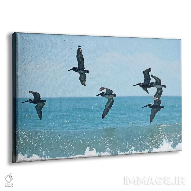 تابلو پلیکان شماره ۲ اثر بروس ناوراکه - نمای پرسپکتیو محصول