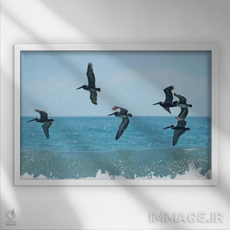 تابلو پلیکان شماره ۲ اثر بروس ناوراکه - نمای قابدار سفید