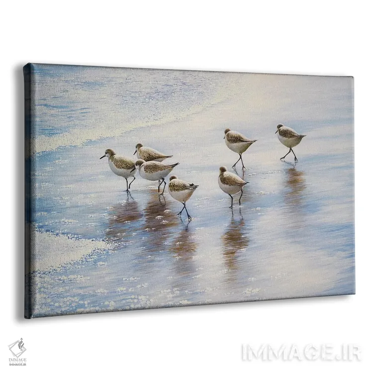 تابلو رقاصان شن اثر بروس ناوراکه - نمای پرسپکتیو محصول