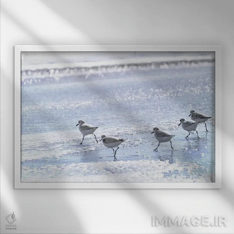 تابلو دویدن تا لبه اثر بروس ناوراکه - نمای قابدار سفید