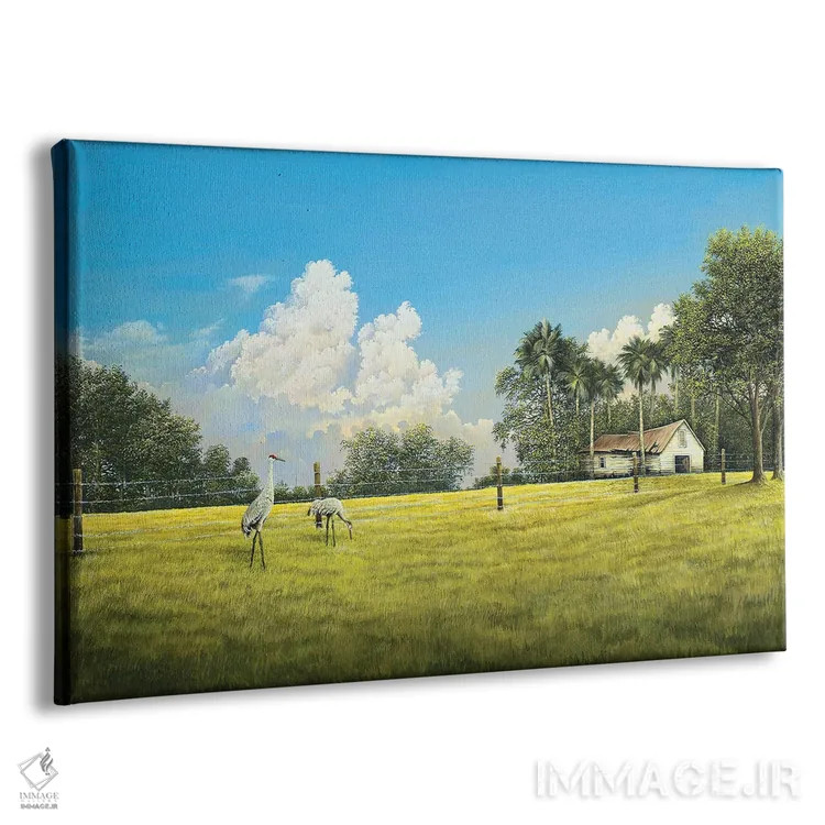 تابلو مزرعهٔ درناها اثر بروس ناوراکه - نمای پرسپکتیو محصول