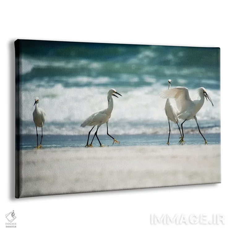 تابلو قدمزدن مرغ ماهیخوار اثر بروس ناوراکه - نمای پرسپکتیو محصول