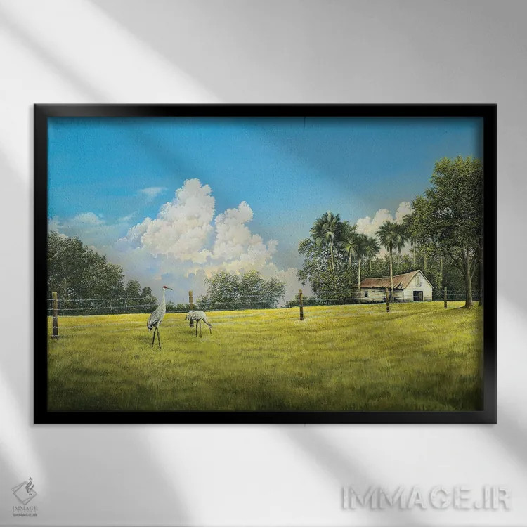 تابلو مزرعهٔ درناها اثر بروس ناوراکه - نمای قابدار مشکی