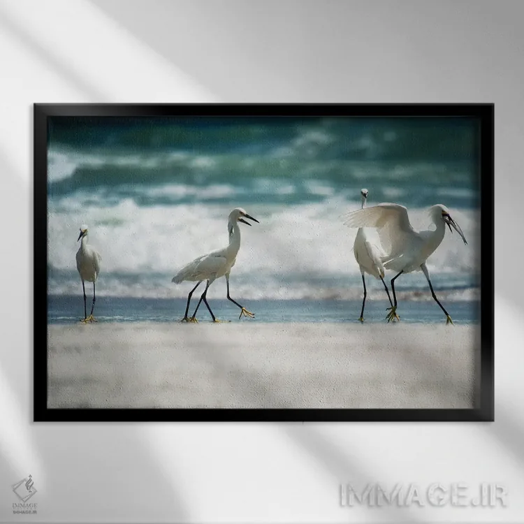 تابلو قدمزدن مرغ ماهیخوار اثر بروس ناوراکه - نمای قابدار مشکی