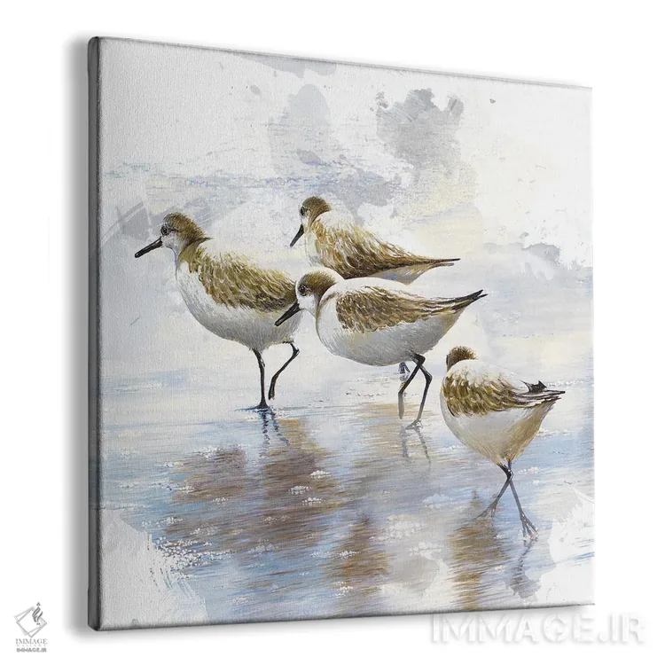 تابلو رقصندگان شن I اثر بروس ناوراکه - نمای پرسپکتیو محصول