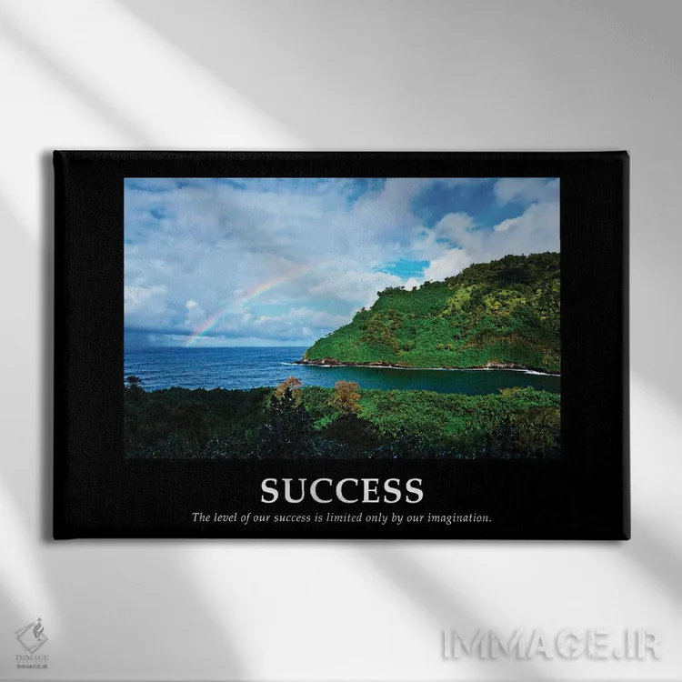 تابلو موفقیت اثر بروس ناوراکه - نمای روبهرو روی دیوار