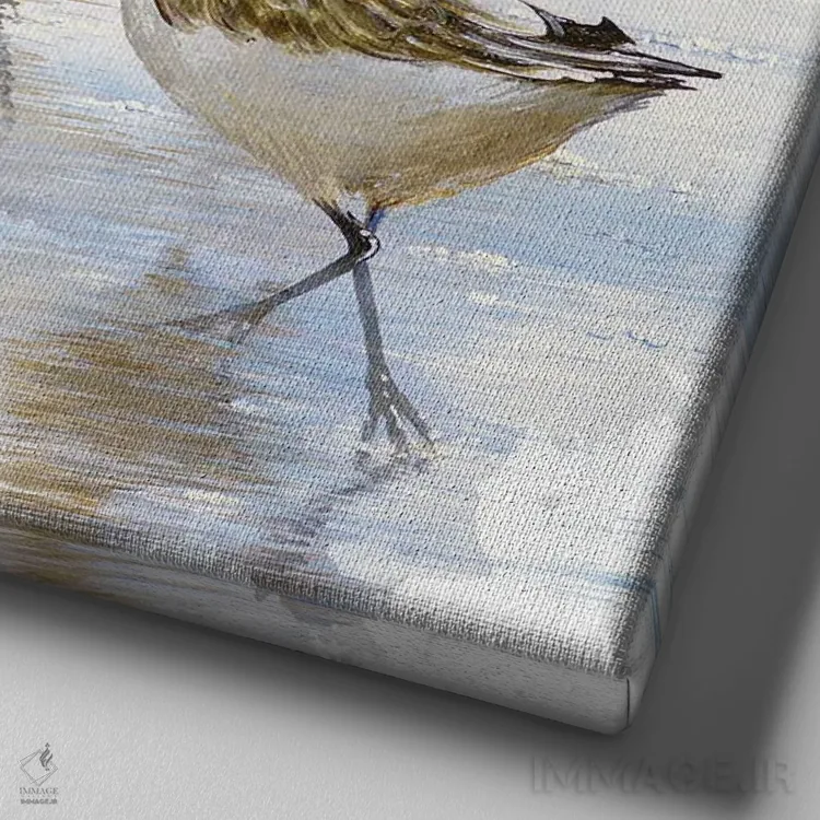 تابلو رقصندگان شن I اثر بروس ناوراکه - نمای نزدیک بافت بوم