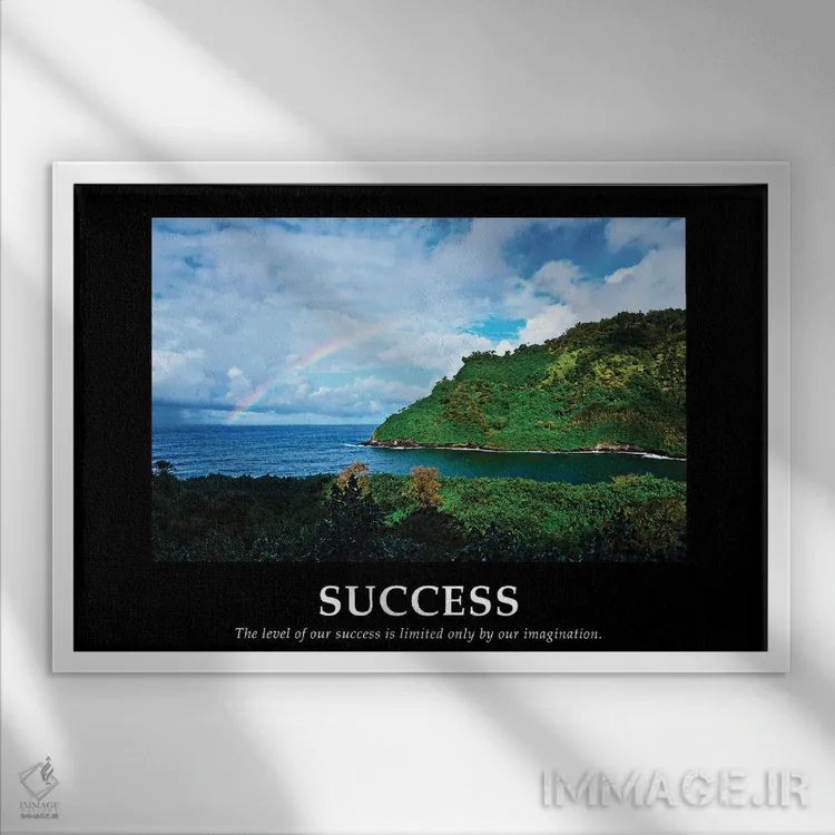 تابلو موفقیت اثر بروس ناوراکه - نمای قابدار سفید