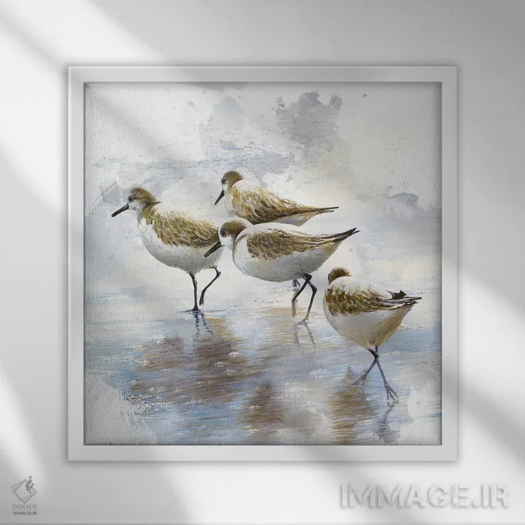 تابلو رقصندگان شن I اثر بروس ناوراکه - نمای قابدار سفید