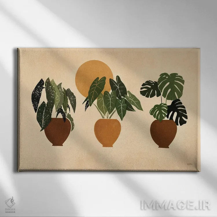 تابلو گیاهان آپارتمانی II اثر بریا نیکول - نمای روبهرو روی دیوار