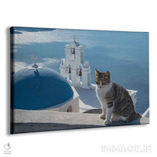 تابلو یونان، سانتورینی. گربهای روی دیوار بالای ناقوسهای معروف فیرا ژست گرفته است اثر برندا ثارپ - نمای پرسپکتیو محصول