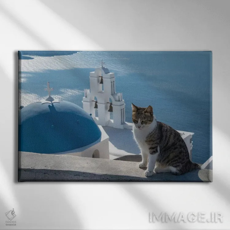 تابلو یونان، سانتورینی. گربهای روی دیوار بالای ناقوسهای معروف فیرا ژست گرفته است اثر برندا ثارپ - نمای روبهرو روی دیوار