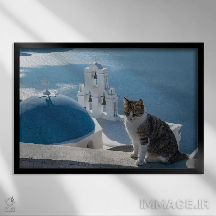 تابلو یونان، سانتورینی. گربهای روی دیوار بالای ناقوسهای معروف فیرا ژست گرفته است اثر برندا ثارپ - نمای قابدار مشکی