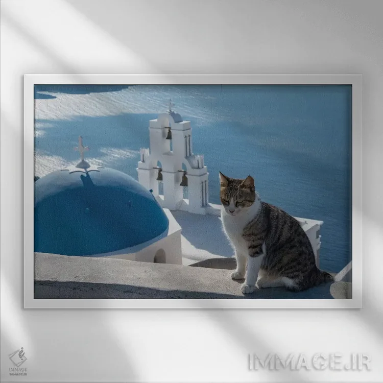 تابلو یونان، سانتورینی. گربهای روی دیوار بالای ناقوسهای معروف فیرا ژست گرفته است اثر برندا ثارپ - نمای قابدار سفید