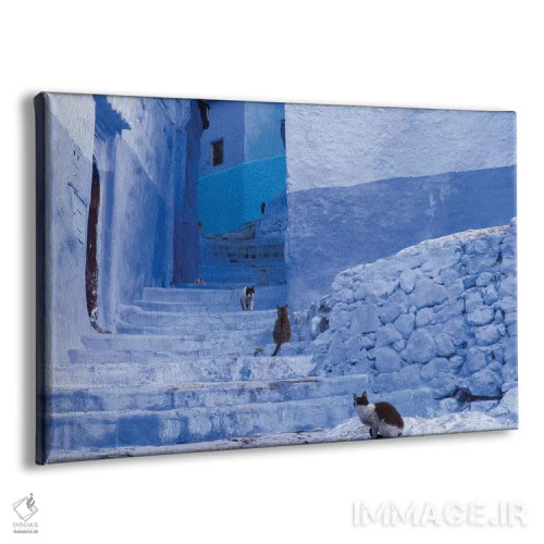 تابلو مراکش، شفشاون. گربهها کنار پلههای مارپیچ یک کوچه نشستهاند اثر برندا ثارپ - نمای پرسپکتیو محصول