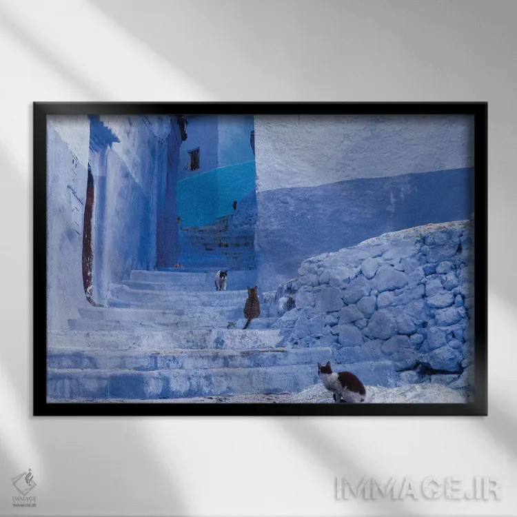 تابلو مراکش، شفشاون. گربهها کنار پلههای مارپیچ یک کوچه نشستهاند اثر برندا ثارپ - نمای قابدار مشکی