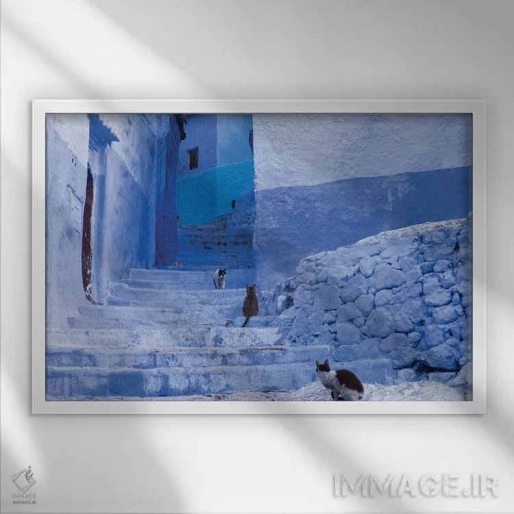 تابلو مراکش، شفشاون. گربهها کنار پلههای مارپیچ یک کوچه نشستهاند اثر برندا ثارپ - نمای قابدار سفید