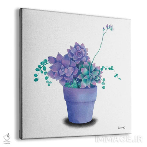 تابلو گیاهان گوشتی فیروزهای ۲ اثر باناروت - نمای پرسپکتیو محصول